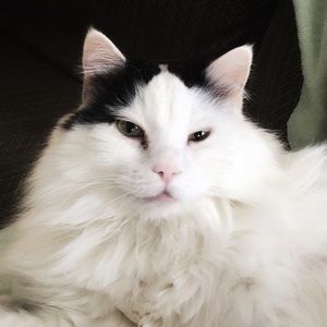 Meet your Posher, Gretchen